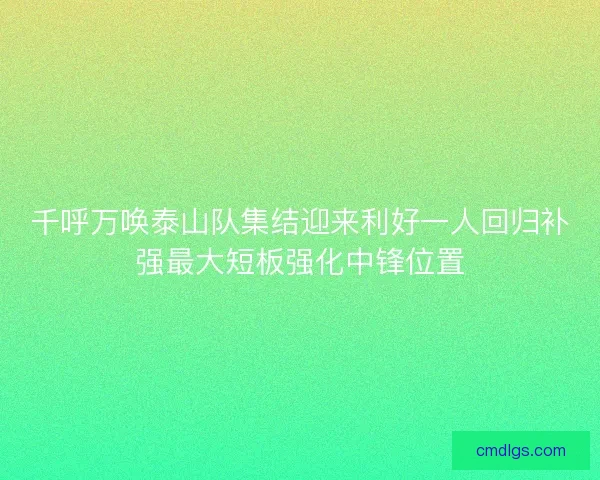 千呼万唤泰山队集结迎来利好一人回归补强最大短板强化中锋位置